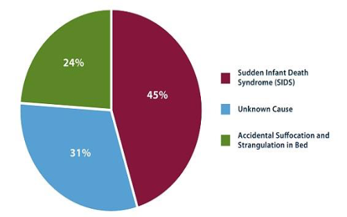 According to National Vital Statistics System, 45% of sudden infant deaths were caused by Sudden Infant Death Syndrome (SIDS), 31% by unknown cause, and 24% by accidental suffocation and strangulation in bed.