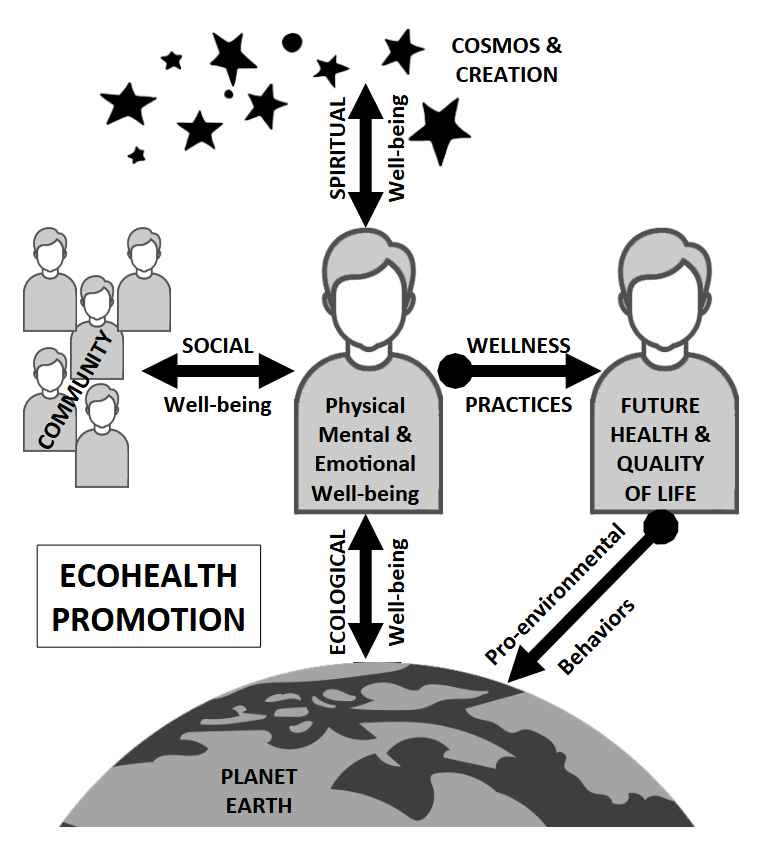 Holistic ecohealth promotion model