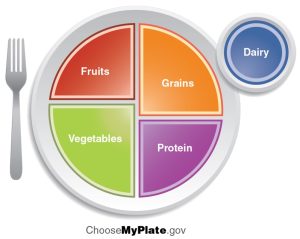 Image of a plate divided into 4 unequal quadrants. Fruits and vegetables take up one half, with less fruit than veg. Grains and protein make up the other half with grains taking up more space than protein. Dairy is identified as the drink.