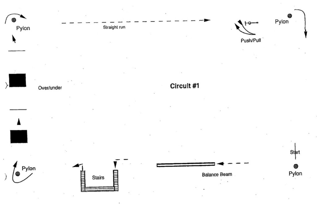 Schematic diagram of the PET circuit loop #1 and #3