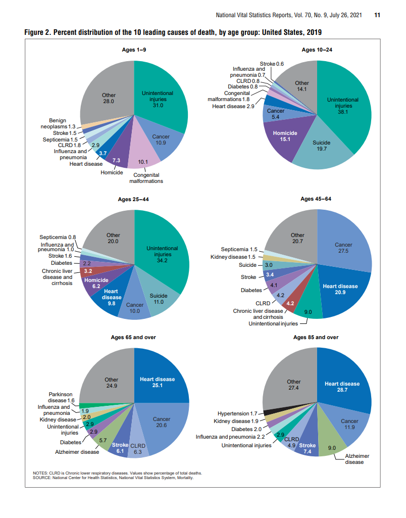 Percent distribution of the 10 leading causes of death, by age group, United States 2019, in pie chart form. This chart is on page 11 of the National Vital Statistics Report Volume 70, Number 9