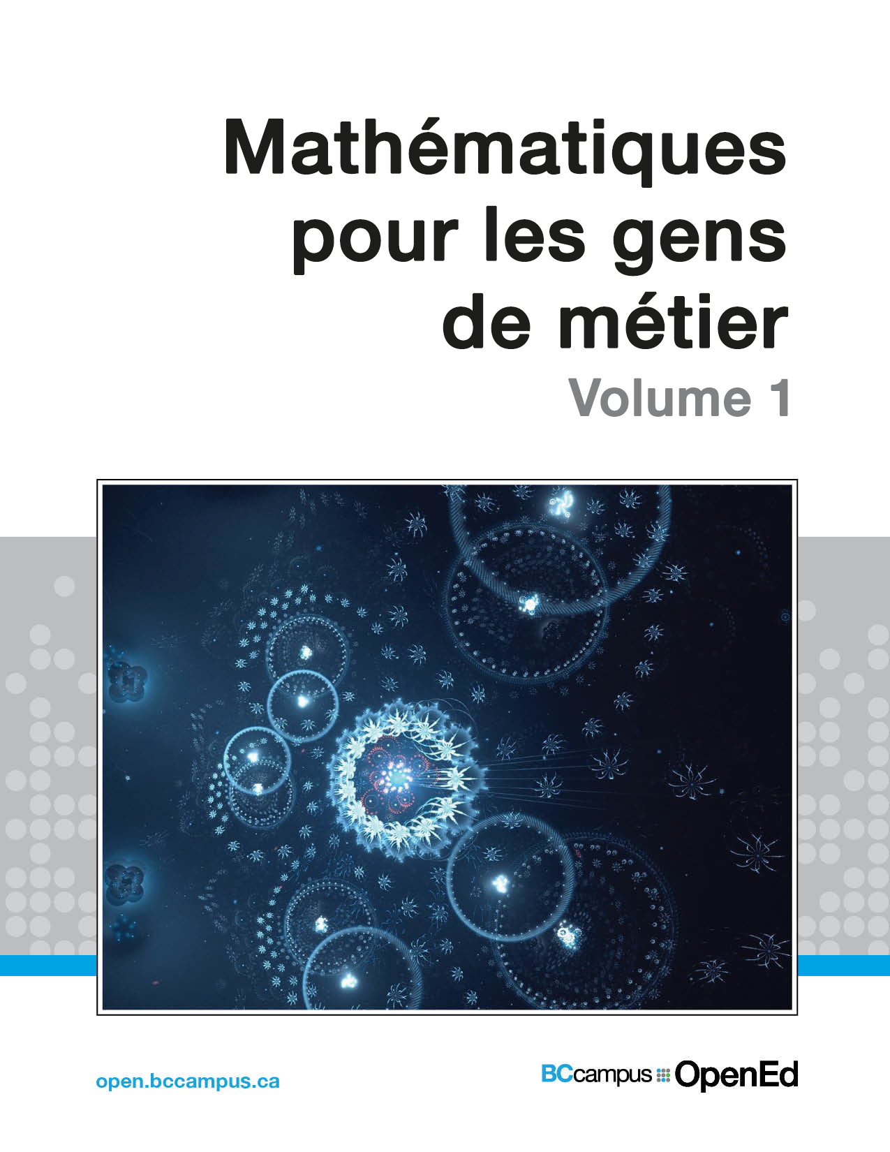 Mathématiques pour les gens de métier : Volume 1