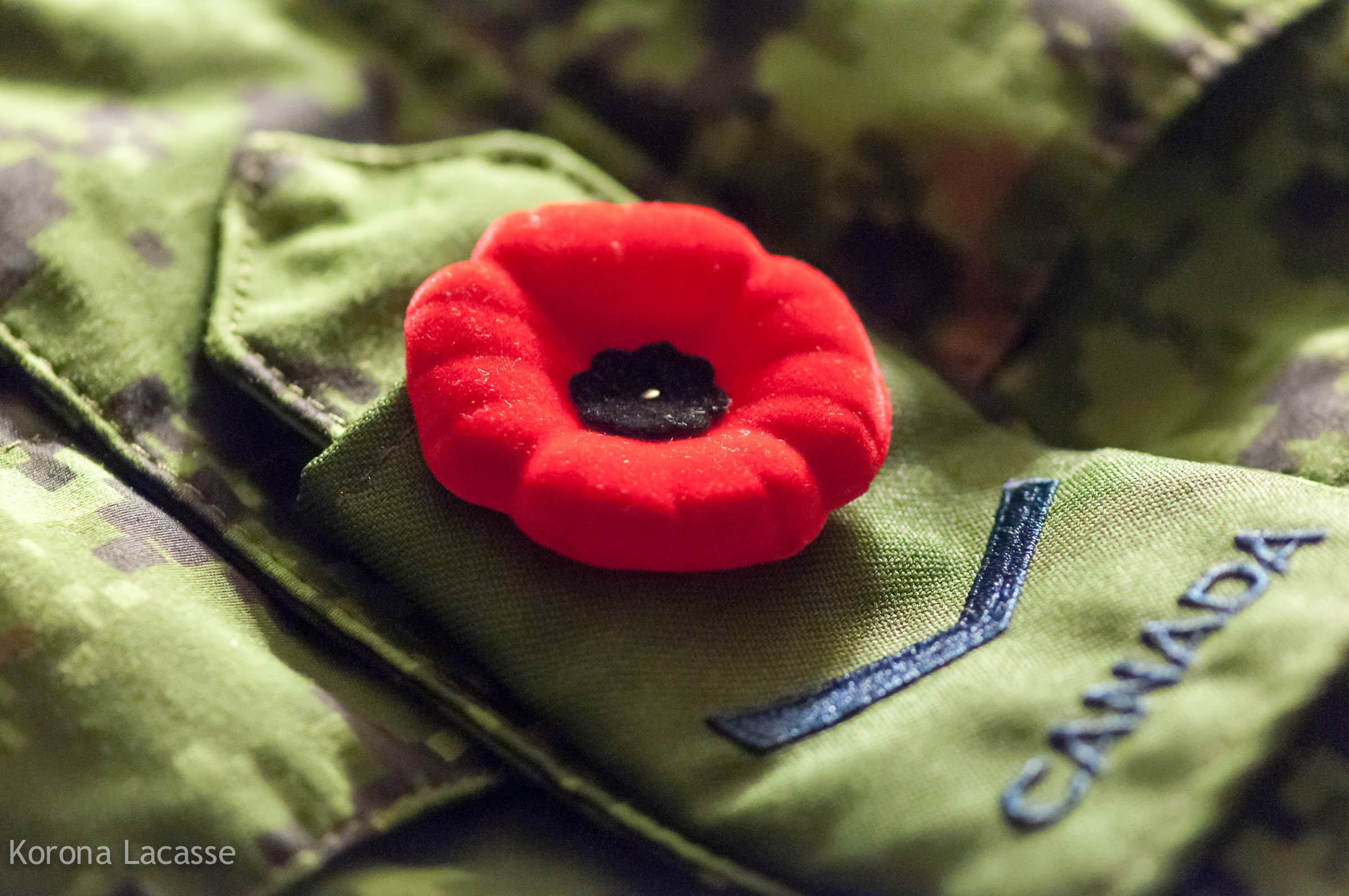 Poppy on Canadian soldier's epaulette.
