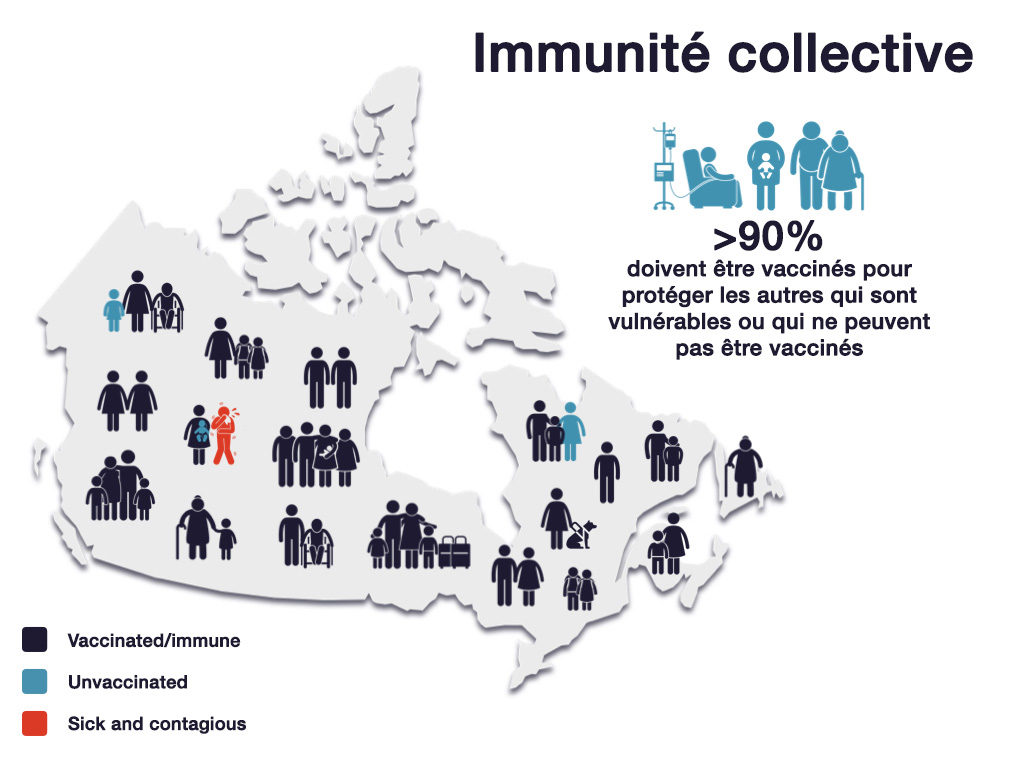 Sur une carte du Canada, il y a 44 silhouettes ; 40 sont en bleu foncé et représentent le statut vaccinal/immunitaire acquis, 3 silhouettes sont en bleu sarcelle, ce qui représente leur statut non vacciné, et 1 silhouette est en rouge, ce qui représente son état de maladie et de contagion. La personne malade et contagieuse se trouve à côté d’un enfant non vacciné. À côté de la carte se trouve le texte suivant : « plus de 90 % des personnes doivent être vaccinées pour protéger les personnes vulnérables ou qui ne peuvent pas être vaccinées. »