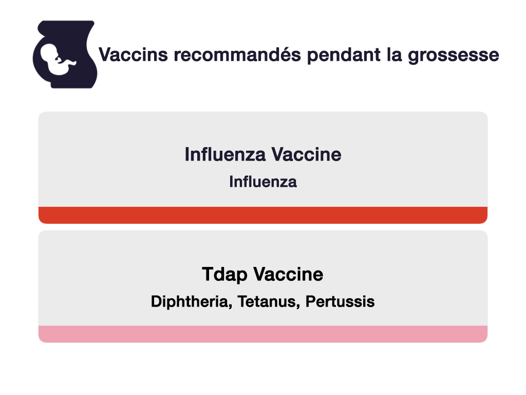 Une liste des vaccins recommandés pendant la grossesse et de ce contre quoi ils protègent. Il y a deux vaccinations sur le diagramme, organisées en liste verticale. Dans l’ordre, il s’agit du vaccin antigrippal contre les virus de la grippe et du vaccin dcaT contre la diphtérie, le tétanos et la coqueluche.