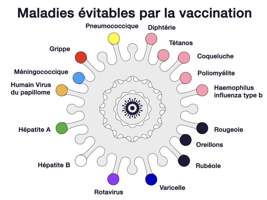Dessin d’une cellule virale. Les noms des maladies pouvant être prévenues par un vaccin entourent la cellule virale. Du haut de la cellule, dans le sens des aiguilles d’une montre, on trouve la diphtérie, le tétanos, la coqueluche, la poliomyélite, l’hémophilie de type b, la rougeole, les oreillons, la rubéole, la varicelle, le rotavirus, l’hépatite B, l’hépatite A, le virus du papillome humain, le méningocoque, la grippe et le pneumocoque. Les maladies protégées par des combinaisons de vaccins sont coordonnées par couleur.