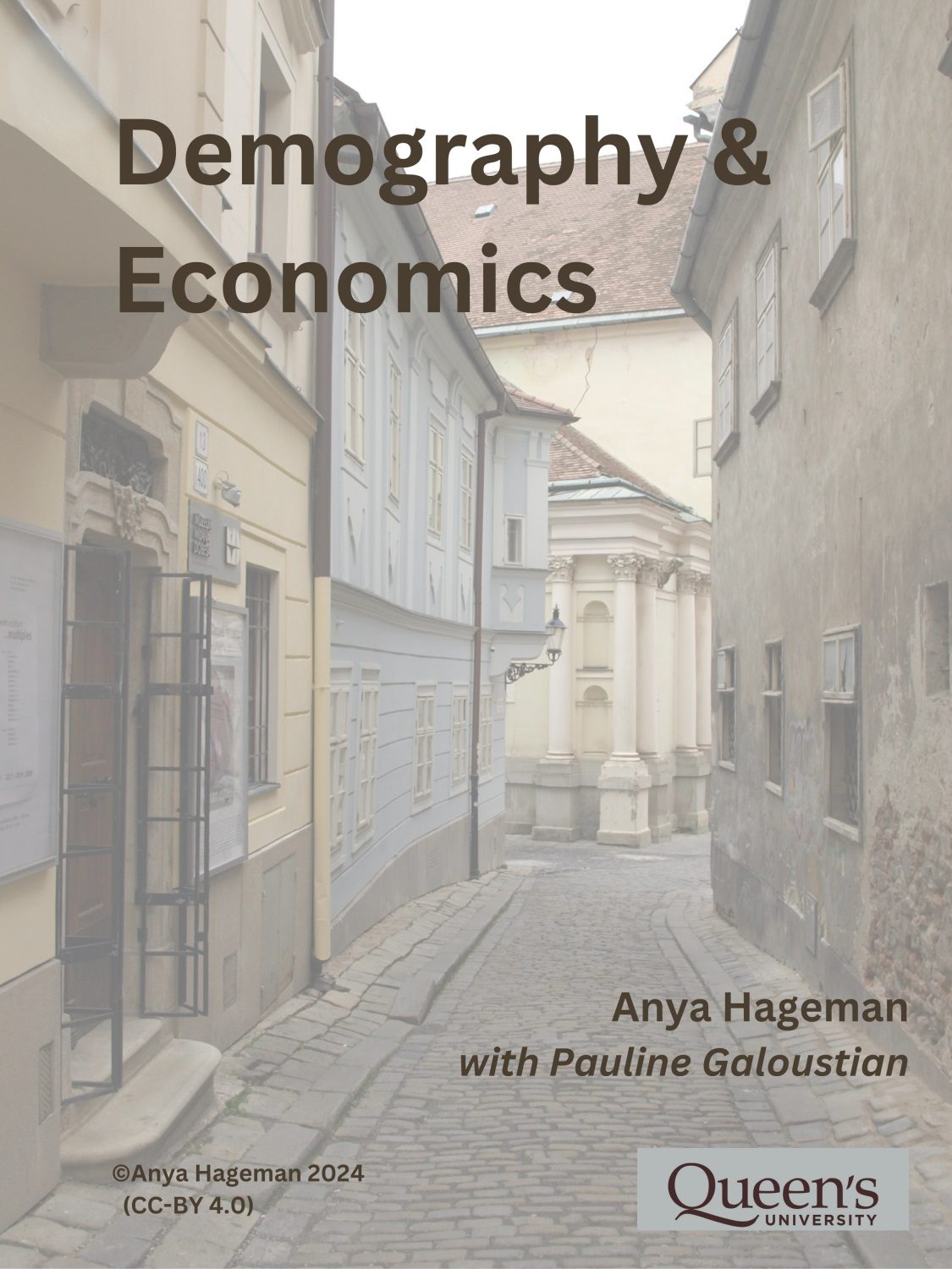Cover image for Demography and Economics