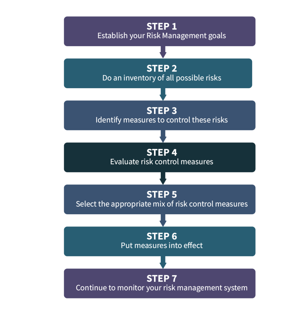 7 risk management steps