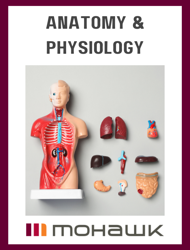 Cover image for HSCI 10171 - Anatomy & Physiology