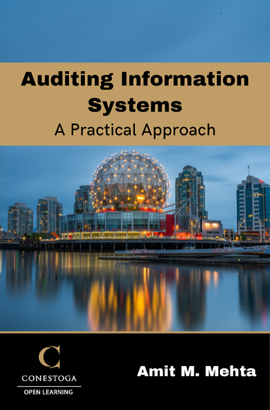 Cover image for Auditing Information Systems