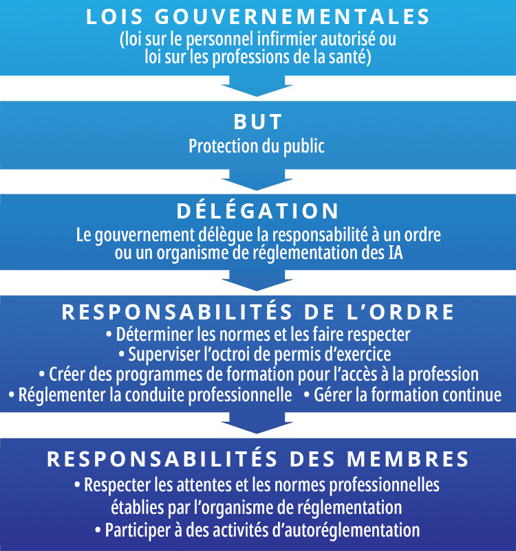 autoréglementation professionnelle, lois, délégation, responsabilités