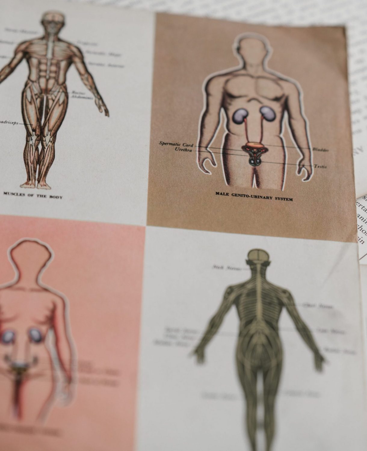 Page couverture de Acquérir les bases de la terminologie médicale