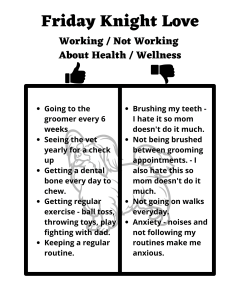 A black and white image divided into two sections titled 'Friday Knight Love Working / Not Working About Health / Wellness.' The left section lists what is working, including going to the groomer every 6 weeks, seeing the vet yearly, getting a dental bone every day, regular exercise, and maintaining a routine. The right section lists what is not working, such as disliking brushing teeth, not being brushed between grooming appointments, not going on walks daily, and feeling anxious due to noises and disrupted routines.