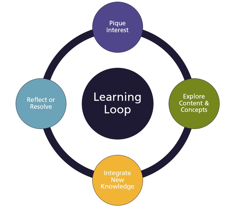 Phases of Cognitive Development Learning Loop Open at