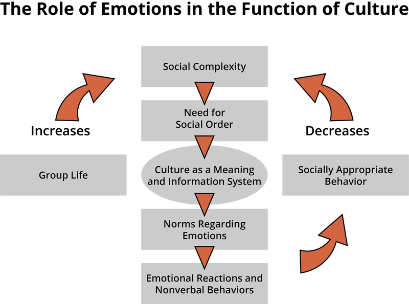 graph of how emotions function in culture