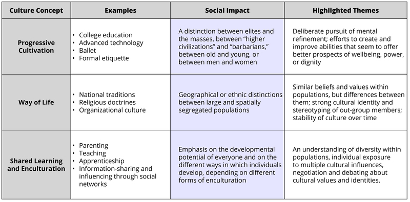 chart of cultural concepts: examples, self impact and highlighted themes vs progressive cultivation, way of life and shared learning and encullturation