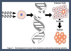 Illustration of the development of cancer from mutations produced by ionizing radiation, showing a normal cell mutating into a cancer cell which then proliferates into a tumor.