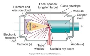 Diagram showing the internal structure of an X-ray tube, including the filament and electron cloud, electronic focusing cup, cathode, anode, focal spot on tungsten target, glass envelope, and the direction of the useful X-ray beam through the tube window.