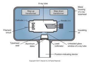 Cross-sectional diagram of an X-ray tube head showing internal components including the X-ray tube, cathode, anode, transformers, and the lead collimator, all enclosed in a metal housing with insulating oil.