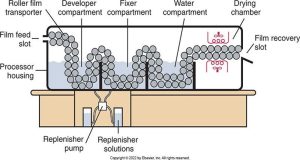 Diagram of an automatic film processor showing the roller transport system, chemical compartments, water compartment, drying chamber, and film recovery slot.