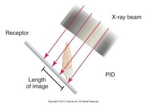 Graphic demonstrating distortion in dental X-ray imaging, showing an X-ray beam directed at a tooth, with the resulting elongated image on the receptor due to the angle of the beam.