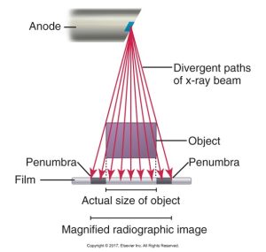 Diagram illustrates magnification as a result of the divergent paths of the x-ray beam.