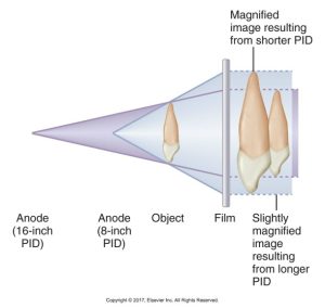 Illustration of dental X-ray imaging showing the difference in image magnification with an 8-inch and a 16-inch Position Indicating Device (PID).