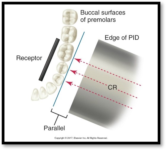 The image illustrates the dental paralleling technique, showing a receptor parallel to the teeth's buccal surfaces, with arrows indicating the direction of the central ray (CR) from the edge of the Position Indicating Device (PID).