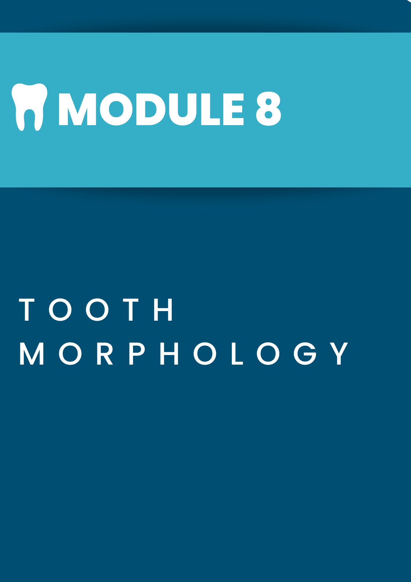 Module 8: Tooth Morphology Title Page