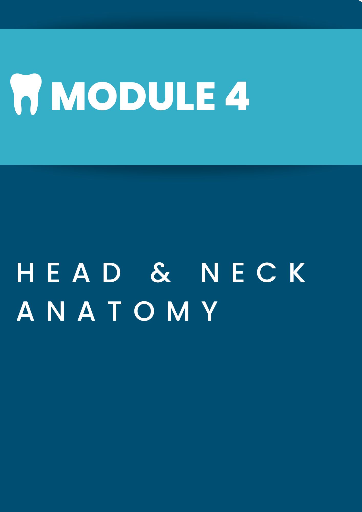 Module 4: Head & Neck Anatomy Title Page