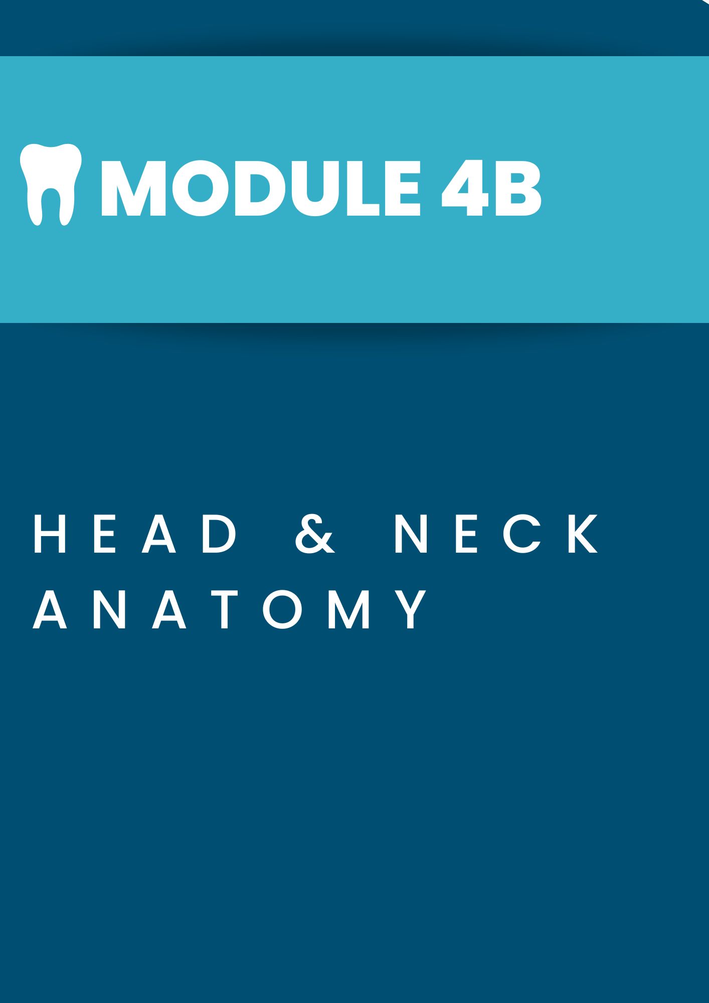 Module 4B: Head & Neck Anatomy Title Page