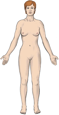 A drawing of a nude standing woman with a neutral expression