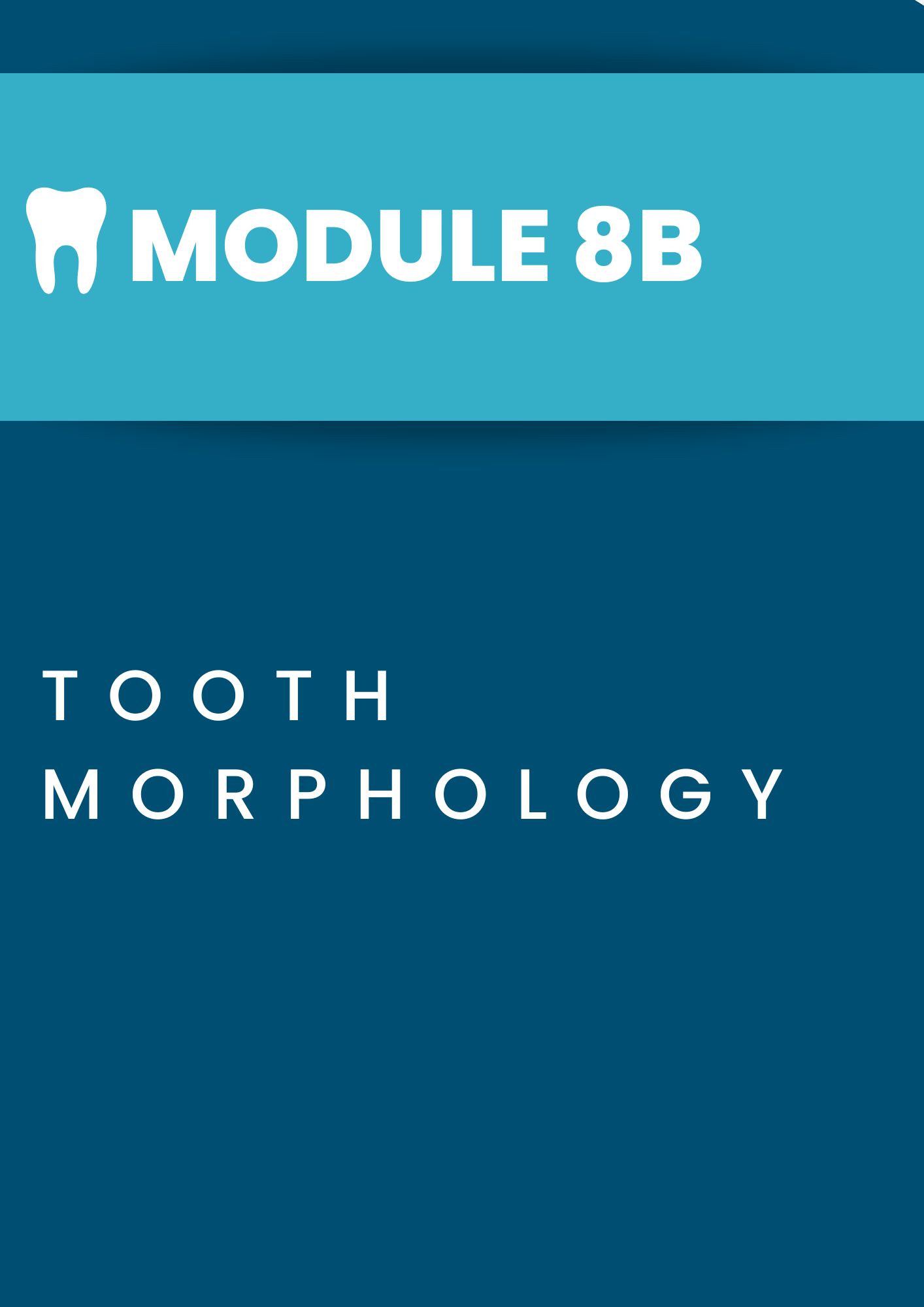 Module 8B: Tooth Morphology Title Page