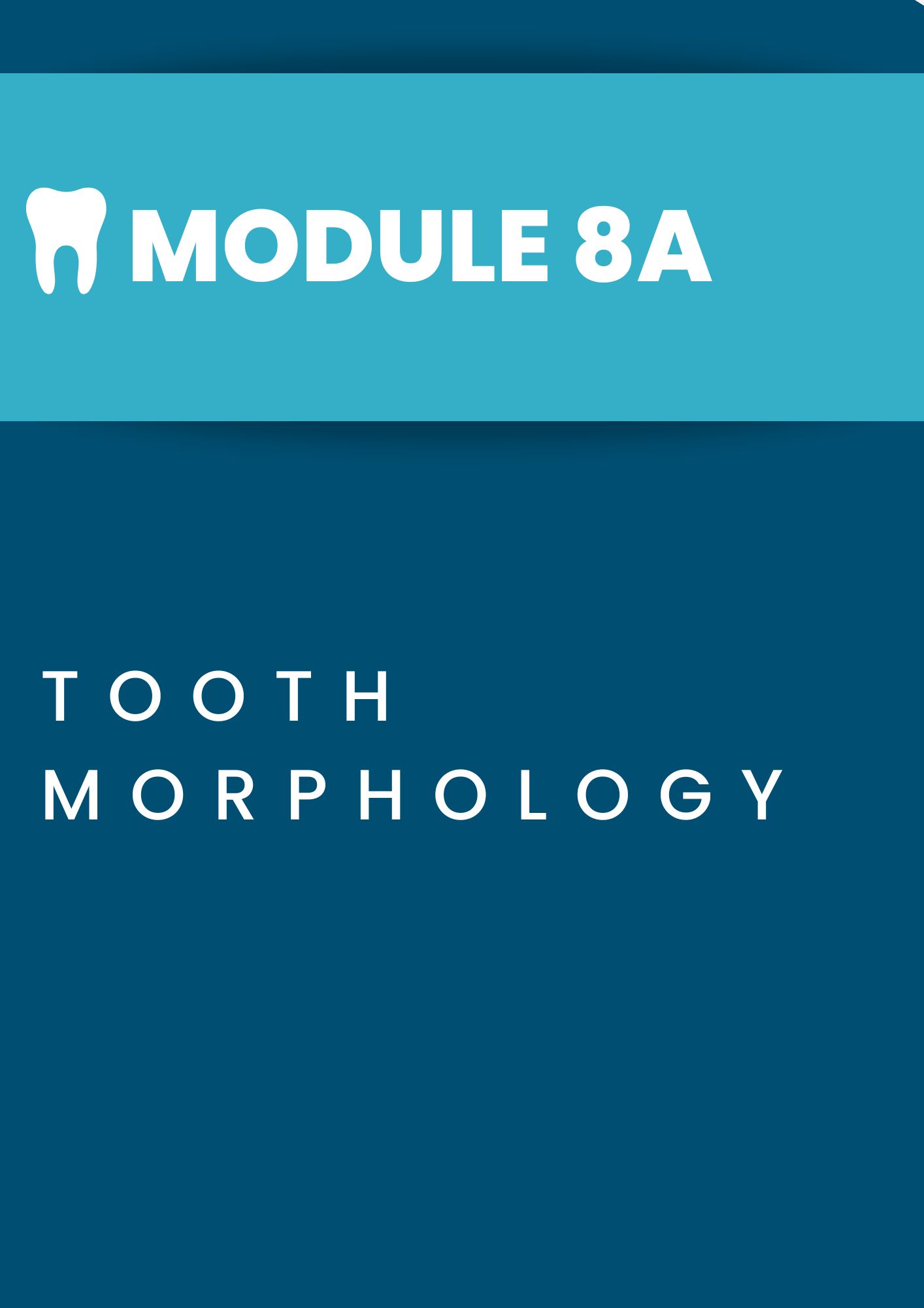 Module 8A: Tooth Morphology Title Page