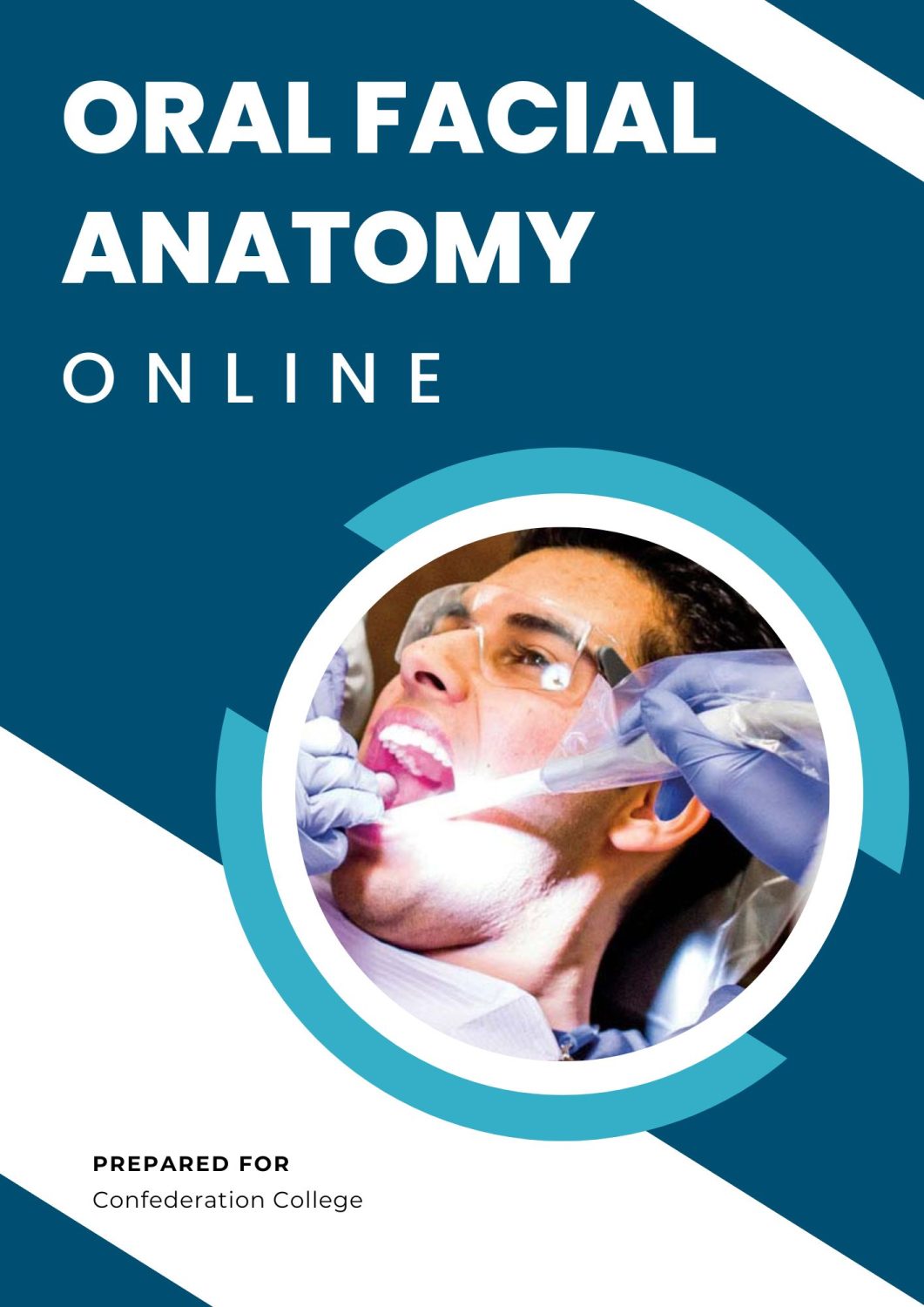 Cover image for Oral Facial Anatomy Online