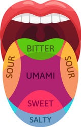 Illustration of an open mouth with a diagram of a tongue inside, labeled with five taste zones: bitter, sour, umami, sweet, and salty.