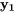 \mathbf{y_1}