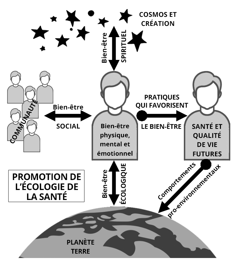 Modèle holistique de promotion de l’écosanté