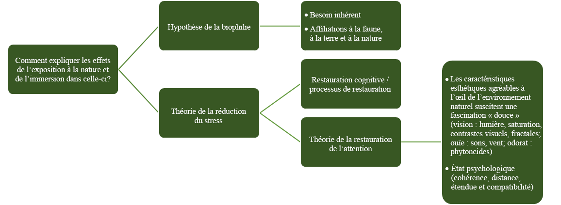 Schéma conceptuel