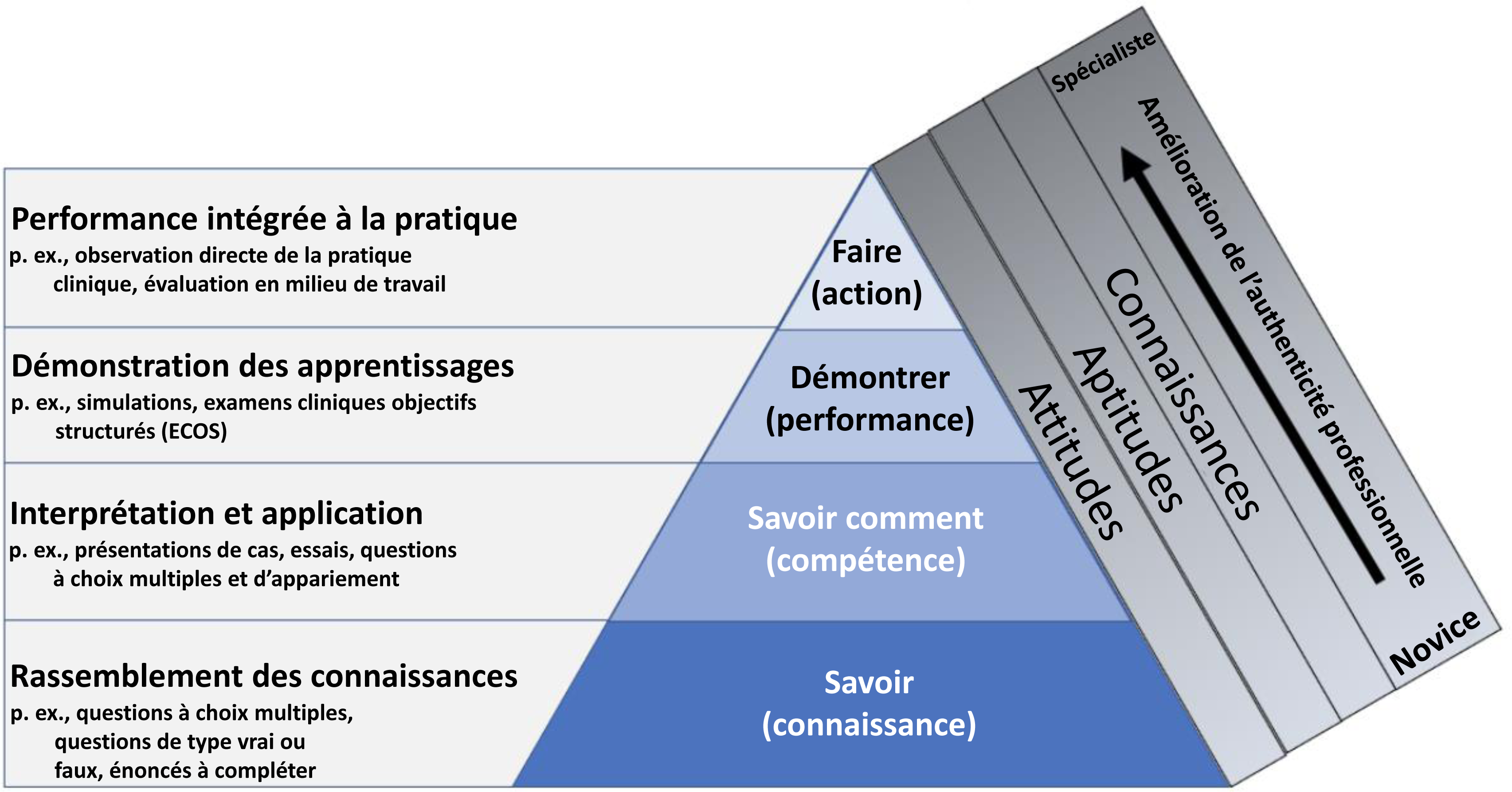 Figure montrant les liens entre la pyramide de Miller et différentes manifestations en termes de connaissances, d’attitudes et de compétences. Savoir = Rassemblement des connaissances; Savoir comment = Interprétation et application; Démontrer = Démonstration de l’apprentissage; Faire = Performance intégrée à la pratique