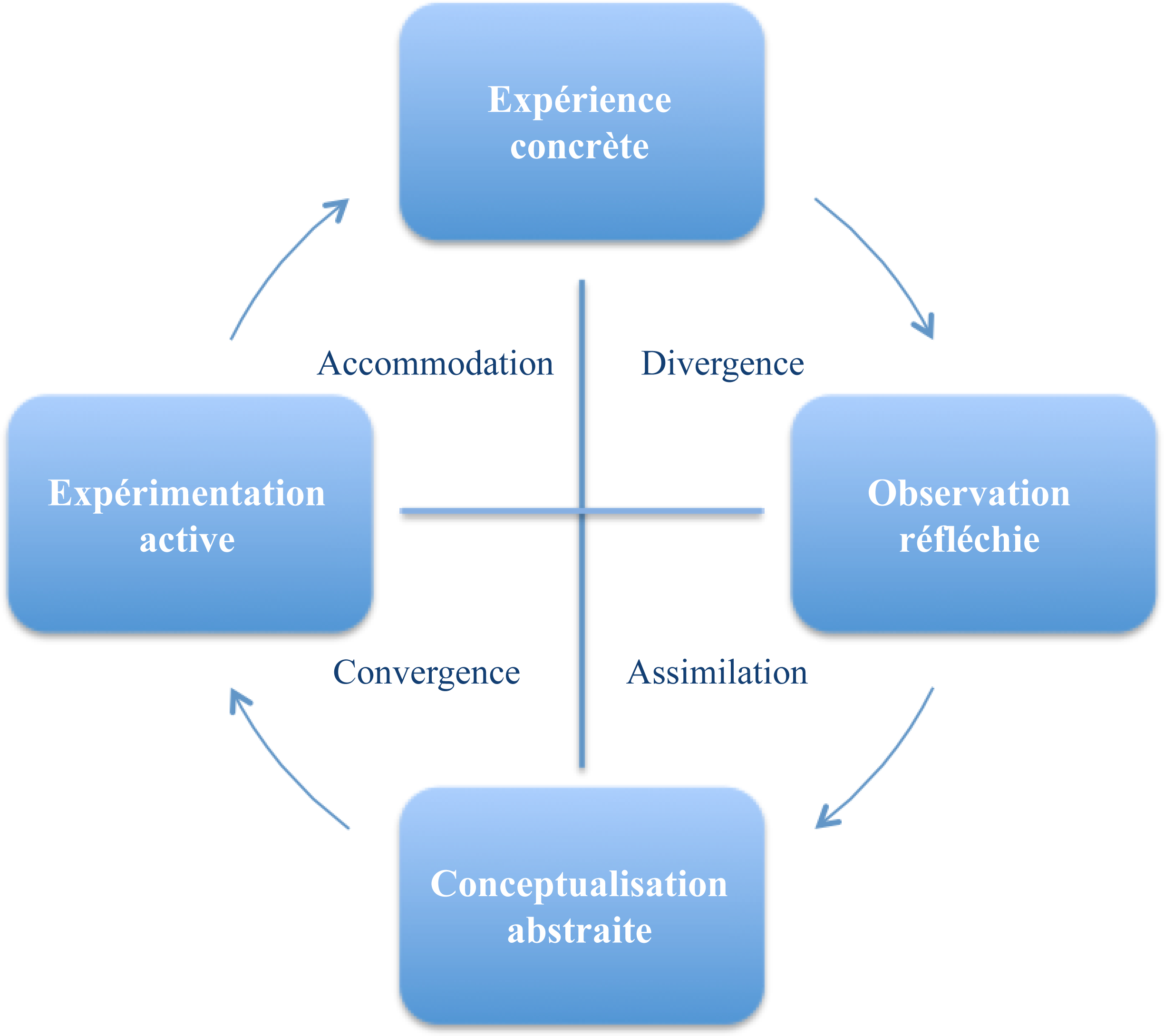 Représentation graphique du cycle d’apprentissage de Kolb, où les flèches indiquent l’ordre habituel des étapes. À partir de l’expérience concrète, on diverge vers l’observation réfléchie, puis on assimile pour obtenir une conceptualisation abstraite, puis on converge vers l’expérimentation active, et enfin on s’accommode pour vivre une expérience concrète.