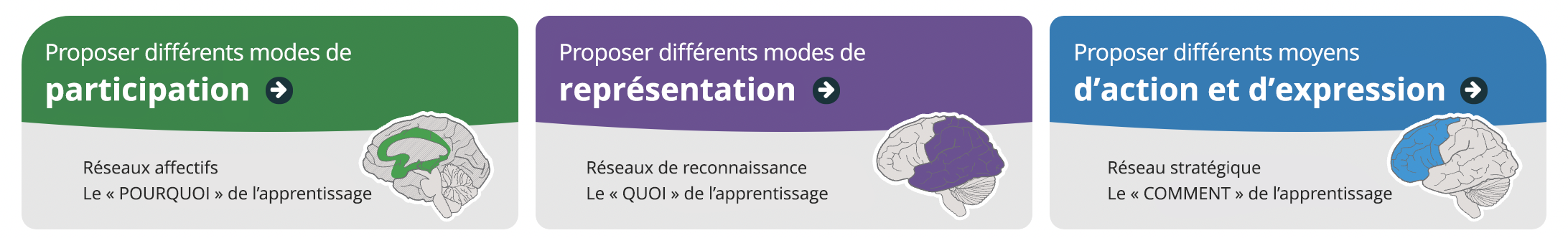 Lignes directrices sur la Conception universelle de l’apprentissage