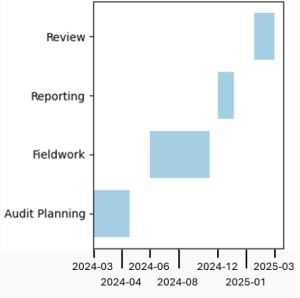 Gantt Chart for Audit Planning with stages labelled Audit Planning, Fieldwork, Reporting, and Review and timeframe at intervals of a couple of months for each stage.