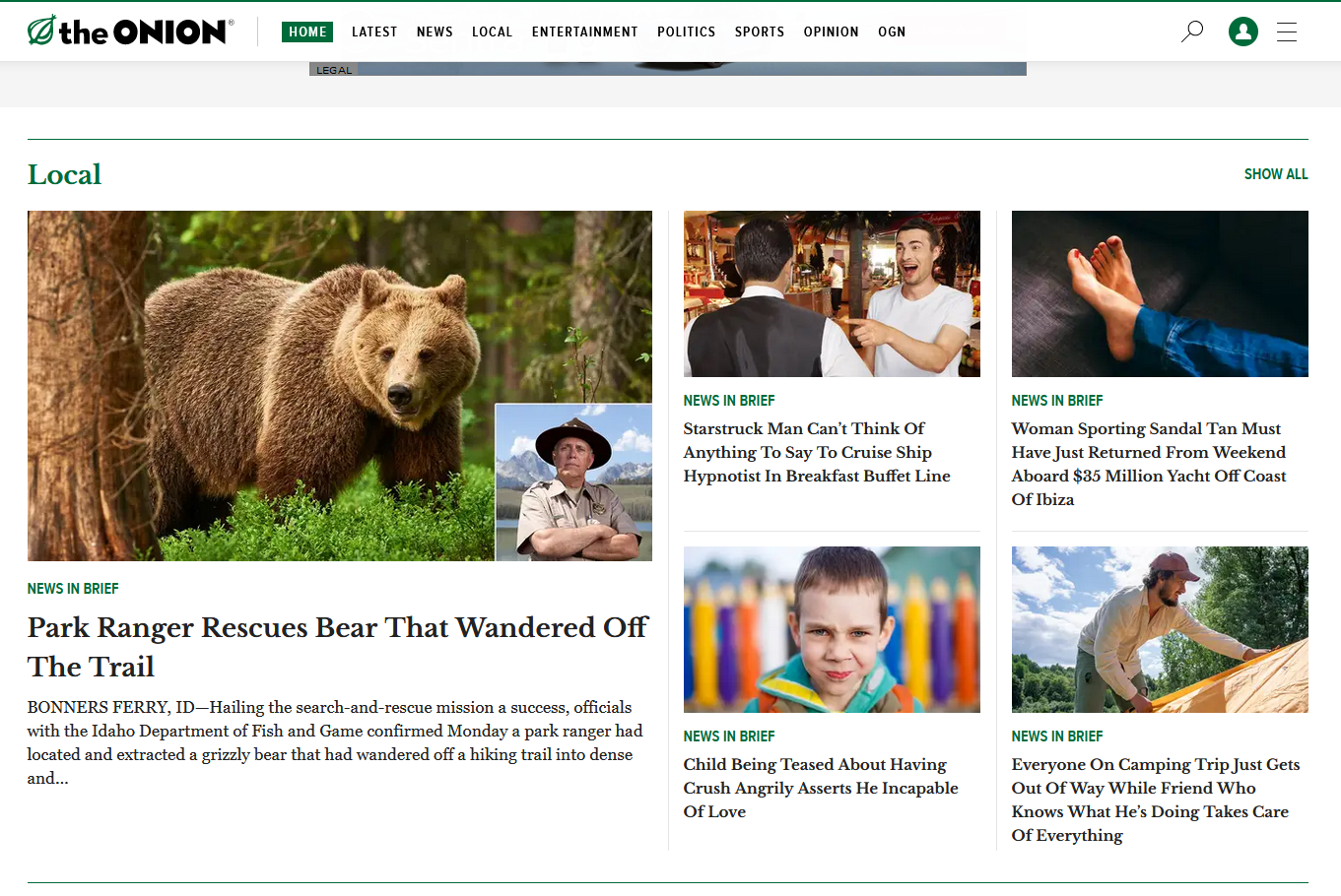 Screenshot of the onion website.