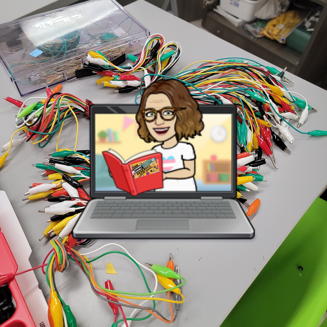 Cover image for Lisa's Demonstrator Diary