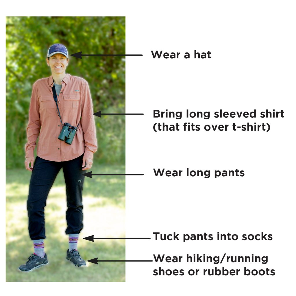 An photo of a hiker wearing appropriate clothing for participating in outdoor community science. The individual articles of clothing are labeled.