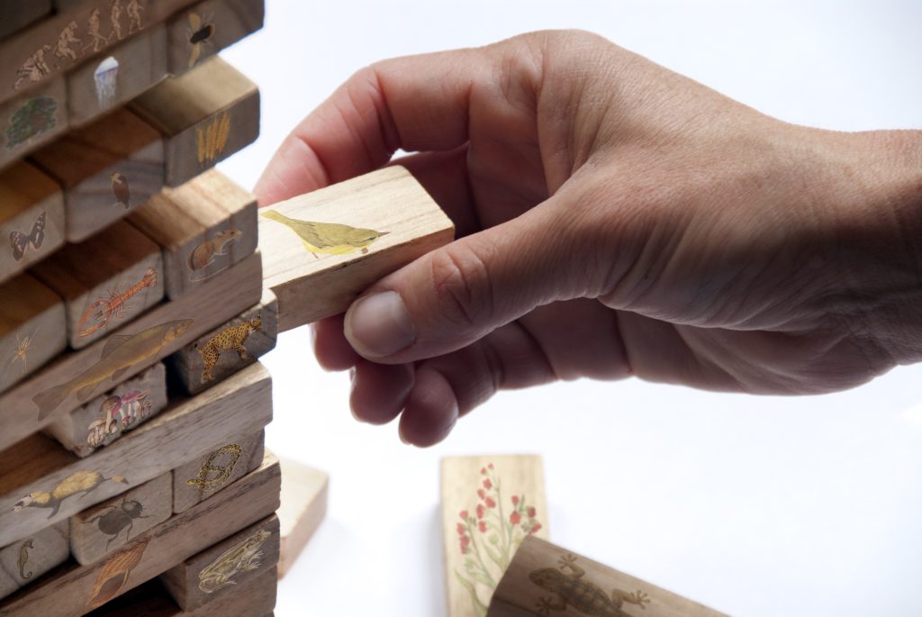 A person playing the game Jenga. The game pieces are decorated with various animals and plantlife to comment on the interconnectedness of species within an ecosystem.