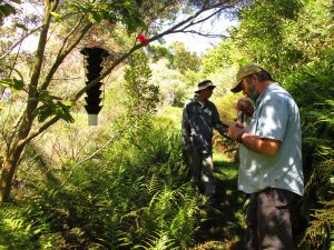 A group of researchers monitoring insect traps for signs of invasive species.