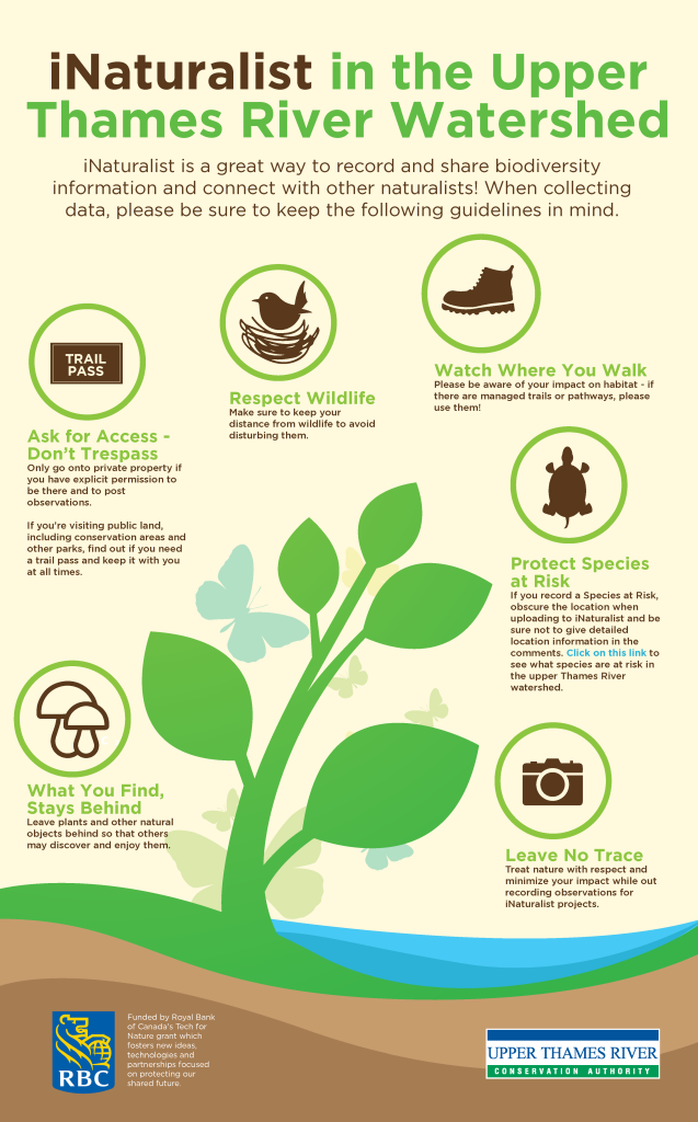 An infographic by the Upper Thames River Conservation Authority detailing appropriate conservational guidelines for interacting with nature.