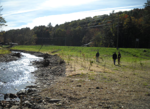 A habitat restoration effort - several people planting new trees in a deforested area.